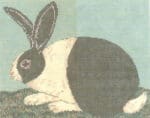 Cooper Oaks - Cozy Bunny