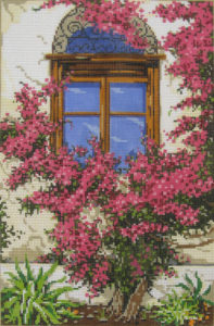 Sandra Gilmore - Bougainvillea