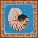 JP Needlepoint - Nautilus Shell with Oriental Border