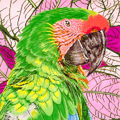 The Meredith Collection - Great Green Macaw