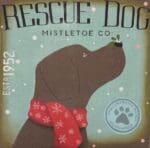 Tango & Chocolate - Rescue Dog Mistletoe