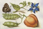Melissa Shirley Needlepoint - Chinese Lantern & Peas
