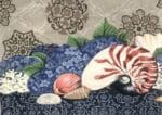 The Collection Designs - Shells and Hydrangeas I