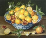 Melissa Shirley Designs -  Citrus and Pomegranates