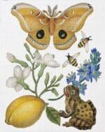 Melissa Shirley Designs -  Butterfly Botanical with Frog