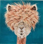 The Meredith Collection - Alpaca