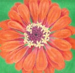 The Meredith Collection - Dark Orange Zinnia/Green Background