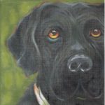 Pippin Studio - Black Lab