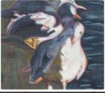 Pippin Studio - Seagulls