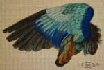 Melissa Shirley Designs - Durer Wing