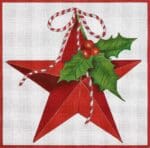 Melissa Shirley Designs - Holly Star