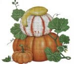 Melissa Shirley Designs - Pumpkin & Squash