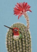Melissa Shirley Designs - No Solicitors / Hummingbird