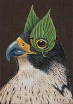 Melissa Shirley Designs - Albert the Falcon