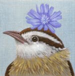 Melissa Shirley Designs - Carolina Wren