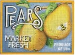 Melissa Shirley Designs - Market Fresh Pears