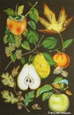 Melissa Shirley Designs - Autumn Fruit