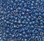 Sundance Beads - Nautilus
