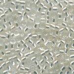 Sundance Beads - Crystal