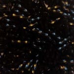 Sundance 6mm Bugle Beads - Twisted Black