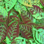 Sundance Sequin Shapes - Light Green Leaf