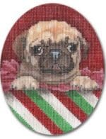 Will Bullas - Christmas Pug