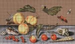 Melissa Shirley Designs - Fruits and Shells