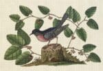 Melissa Shirley Designs - Bird Vine
