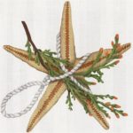Melissa Shirley Designs - Starfish