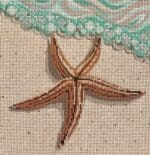 Labors of Love - Starfish on the Beach