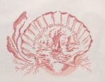 The Plum Stitchery - Shell