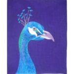 Zecca Designs - Peacock Portrait