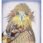 Zecca Designs - Hawk