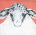The Meredith Collection - Sheep