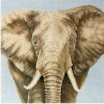 The Meredith Collection - Elephant