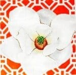 The Meredith Collection - Magnolia on Tangerine