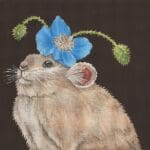 Melissa Shirley Designs - Tomoko the Pika