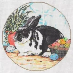 Sandra Gilmore - Mr. Whiskers