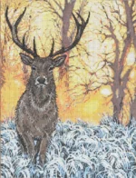Sandra Gilmore - Majestic