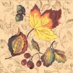 Sandra Gilmore - Fall Splendor