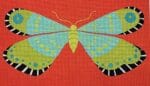 Zecca Designs - Aqua Lime Butterfly