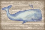 The Collection Designs - Providence Whale