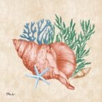 The Collection Designs - Woven Seal I