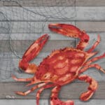 The Collection Designs - Hilton Crab