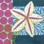 The Collection Designs - Fantasy Reef I