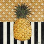 The Collection Designs - Knox Pineapple
