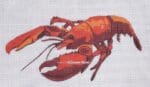 Painted Pony Designs - Lobster