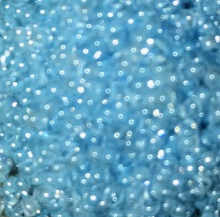 Sundance Beads - Blue Jay NEW COLOR