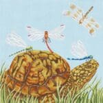 Melissa Shirley Designs - Turtle Schoolbus