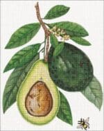Melissa Shirley Designs - Avocados
